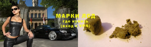 стафф Нефтегорск