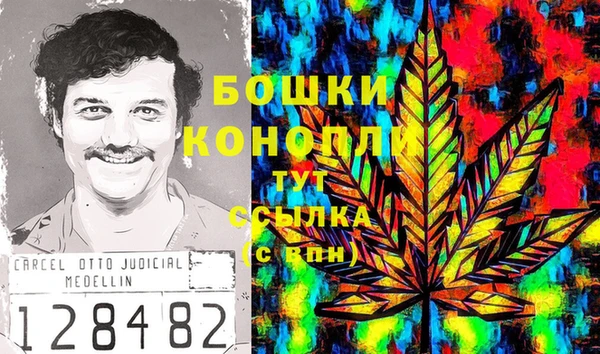 стафф Нефтегорск