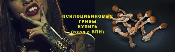 стафф Нефтегорск