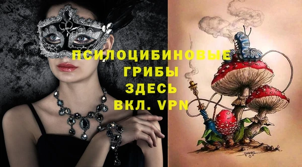 стафф Нефтегорск