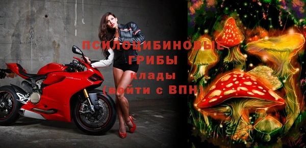 круглые Нефтекумск