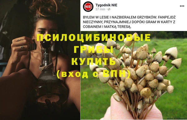 стафф Нефтегорск